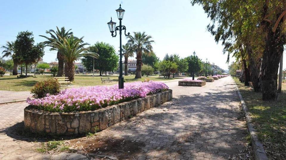 Zoi Apartament
